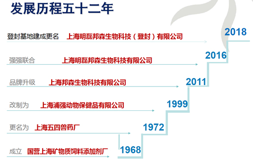 上海邦森发展历程